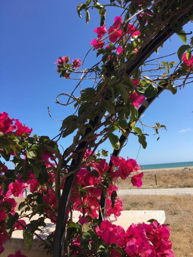 Beach Flat With Garden Castelldefels Eksteriør bilde